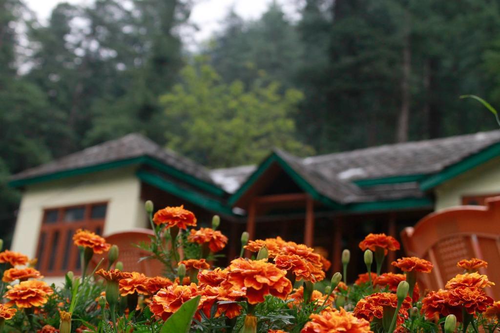 Parvati Kuteer Riverside Resort Kasol Exterior foto